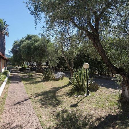 Napeto Village بيتسو المظهر الخارجي الصورة